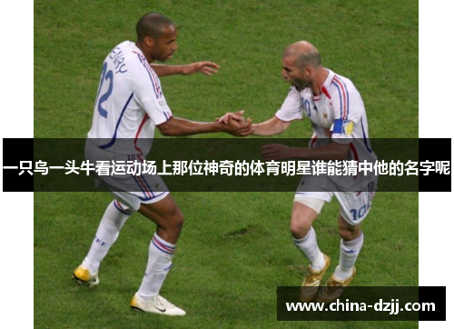 一只鸟一头牛看运动场上那位神奇的体育明星谁能猜中他的名字呢
